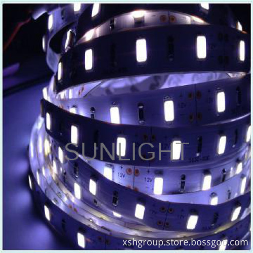 High brightness 9.6W/m led strips waterproof 240leds/m for decoration